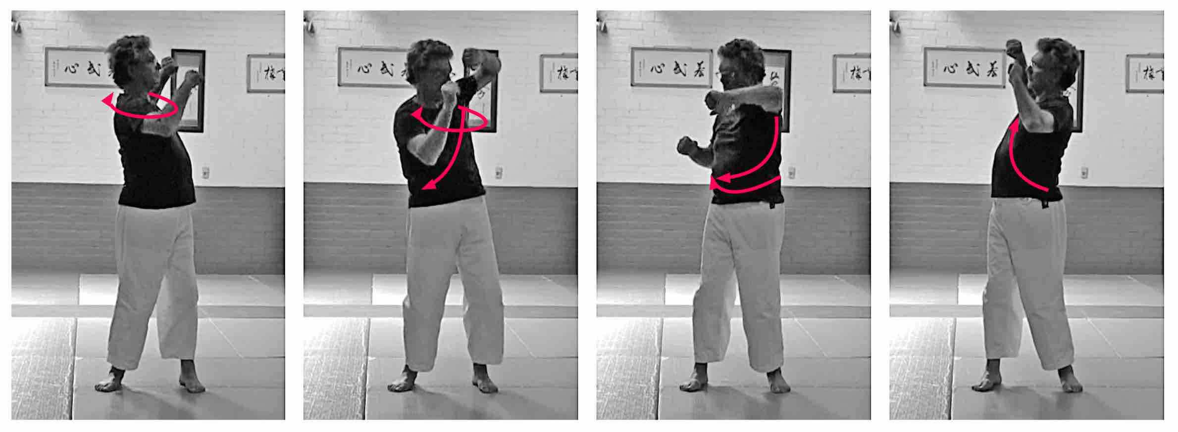 tenshikei solo exercise