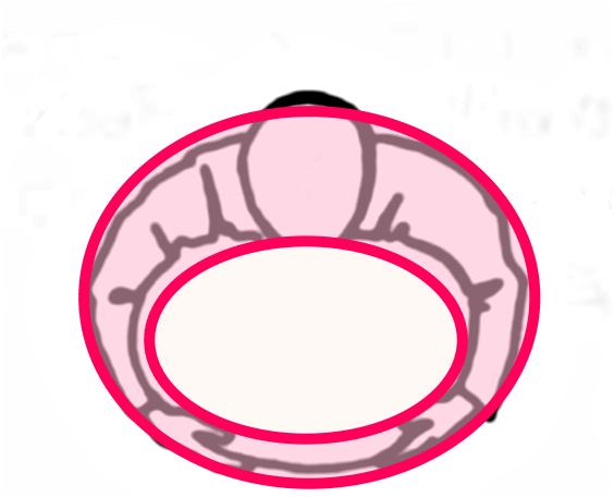 A ring of&nbsp;power